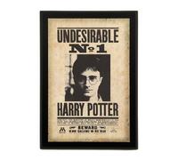 Harry Potter - Undesirable No. 1 Ministry of Magic Wall Plaque Poster