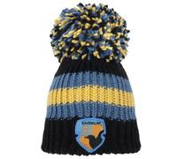 Harry Potter Unisex Adult Raven Claw Bobble Beanie