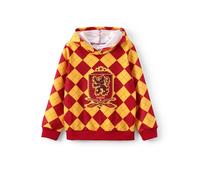 Harry Potter Unisex Hoodie for Children, Hogwarts Gryffindor Red Checkered Pullover Hoodie Autumn Winter Sweater for Boys and Girls 6-12 Years 116-152 cm