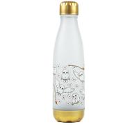 Harry Potter Unisex Silver Hedwig With Letters All Over Print Screw Water Bottle (One Size)