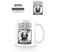 Harry Potter Wanted Coffee Mug Pyramid International