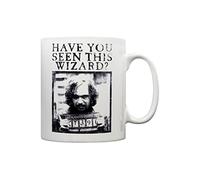 Pyramid International Harry Potter Ceramic Mug with Wanted Poster Graphic in Pre