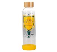 Harry Potter Water Bottle Glass (500ml) (Proud Hufflepuff)