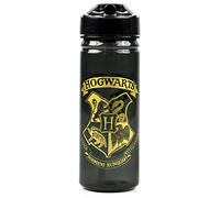 Harry Potter Water Bottle Kids Adults | Boys Girls Hogwarts Magic BPA Free Black School Drink PE Cup | 600ML Flip Lid with Carry Handle One Size