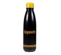 Harry Potter Water Bottle Metal (500Ml) - (Hogwarts) Multi