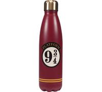 Harry Potter Metal Water Bottle - Platform 9 3/4