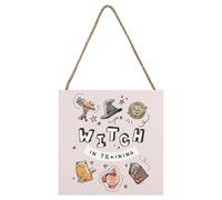 Harry Potter Witch In Training Wooden Block