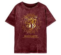 Harry Potter Womens/Ladies Gryffindor Constellation T-Shirt (L) (Maroon)