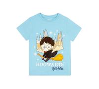 Harry Potter World Book Day T-Shirt for Boys and Girls | Ages 5 to 13 Years, Blue, 8-9 anni