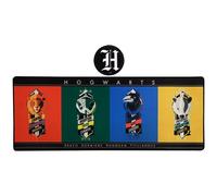 Harry Potter XL Desk Pad & Coaster Set Harry Potter Multicolor