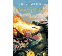 HARRY POTTER Y EL CALIZ DE FUEGO HARRY P: 4