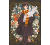 Harry Potter Yume Fantasy Framed Canvas Print Multi