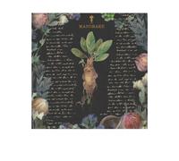 Harry Potter Yume Fantasy Print