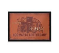 Harry Potter Zavvi Hogwarts Apothecary Entrance Mat Doormat Multi