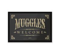 Harry Potter Zavvi Muggles Welcome Entrance Mat Doormat Multi