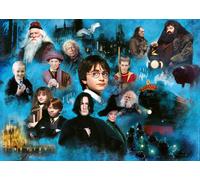 Harry Potter's Magic World