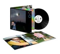 Kiss All The Time. Disco, Occasionally. [VINYL]