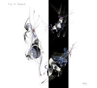 HARRY THE NIGHTGOWN - UGH - Vinyl Record 12 RECORD - E123z