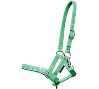 Harry's Horse 31000300 Foal Halter, Lime