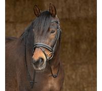 Harry's Horse Bridle Sparkle leather Full Black