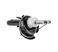 HART 813 878 Shock Absorber for FORD