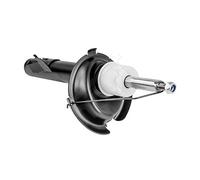 HART 813 879 Shock Absorber for FORD