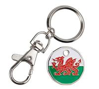 Harts 1 x Welsh Dragon New 12 Sided £1 size Trolley Token Keyring