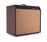 Hartwood 60W Acoustic Guitar Amplifier with Mic-Input Reverb & EQ