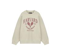 HARVARD Unisex Beige Tennis Sweatshirt | Classic Ivy League Style Jumper | College Apparel for Men & Women | Comfy Cotton Pullover Sweater | Casual Sports Fashion Top