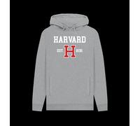 Harvard University Est 1636 Unisex Hoodie Marl Harvard University Light Grey 3XL