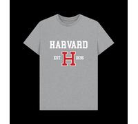 Harvard University Est 1636 Unisex T-Shirt Marl Harvard University Light Grey 2XL