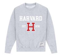 Harvard University Men's Est 1636 Sweatshirt in Grey | Size: 2XL Harvard University Grey 2XL