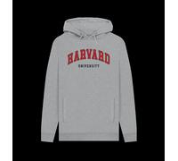 Harvard University Script Unisex Hoodie Marl Harvard University Light Grey XL