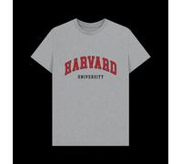 Harvard University Unisex T-Shirt Marl Harvard University Light Grey 3XL