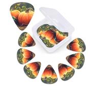 Harvest 12 Pieces Guitar Picks Set Mature Pumpkin Print Guitar Picks with Organizer Storage Box Guitar Accessories Ukulele for Acoustic Guitar Bass St Day Gift