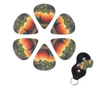 Harvest 6 Pack Mature Pumpkin Print Guitar Picks with Organizer Storage Box for Custom Guitars for Men Women Guitar Accessory Ukulele for