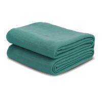 Harvest Net for Fruit 4 x 4 m, Professional and Harvest Net for Fruit Trees, Harvest Net for Fruit and Nuts, Collection Net, Garden Net