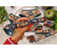 Harvest Pumpkin Patch Pet Pooch Boutique Dog Collar - Adjustable, Padded - Extra Small - Large (Small 28-44cm / 11-17 inch. 1.5cm wide)