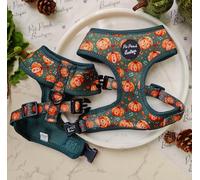 Harvest Pumpkin Patch Pet Pooch Boutique Dog Harness (Ideal for small dogs) (Large)