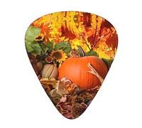 Harvest Pumpkin Printed Triangle Guitar Picks 12 Pcs Novelty Guitar Plectrums for Bass, Electric, Acoustic Guitar