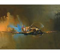 Harvesthouse Spitfire Vintage Funny Home Decor Tin Sign Retro Metal Poster,12 x 16 Inches