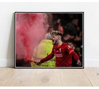 Harvey Elliott Liverpool FC Cup Final Celebration - Huge Classic Photo Poster : 30"x24"