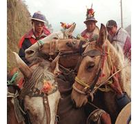 Harvey Girls - I've Been Watching a Lot