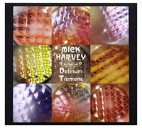 Mick Harvey - Delirium Tremens