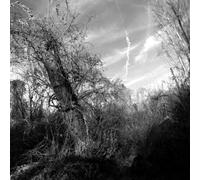 Harvey Milk - A Small Turn Of Human Kindness