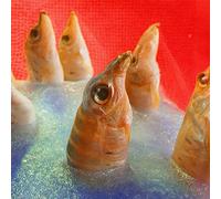 HARVEY RUSHMORE & THE OCTOPUS - FREEDOMSPACECAKE [12" VINYL]