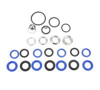 Hasaller 1 Spray Pump Repair Kit Replacement Of Pump Repair Kit Airless Paint Sprayer Pump Repair Packing Valves Kit for Airless Paint Spray