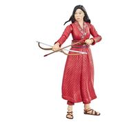 Hasbro - Marvel Legends - Shang-Chi And The Legend Of The Ten Rings Action