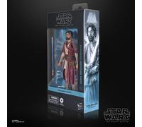Hasbro Star Wars The Black Series Ahsoka Ezra Bridger (Peridea) Collectible Action Figure (6”)