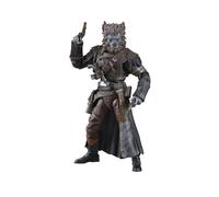 Hasbro Star Wars The Black Series Pirate Captain Brutus (Port Borgo) Star Wars: Skeleton Crew 6 Inch Action Figure